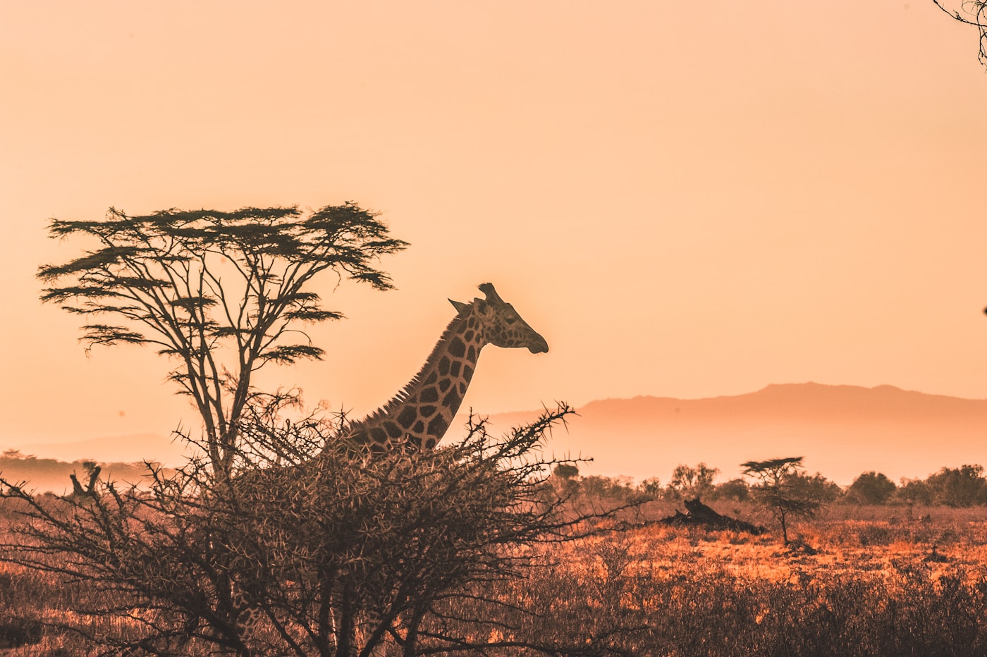 Botswana travel landscape