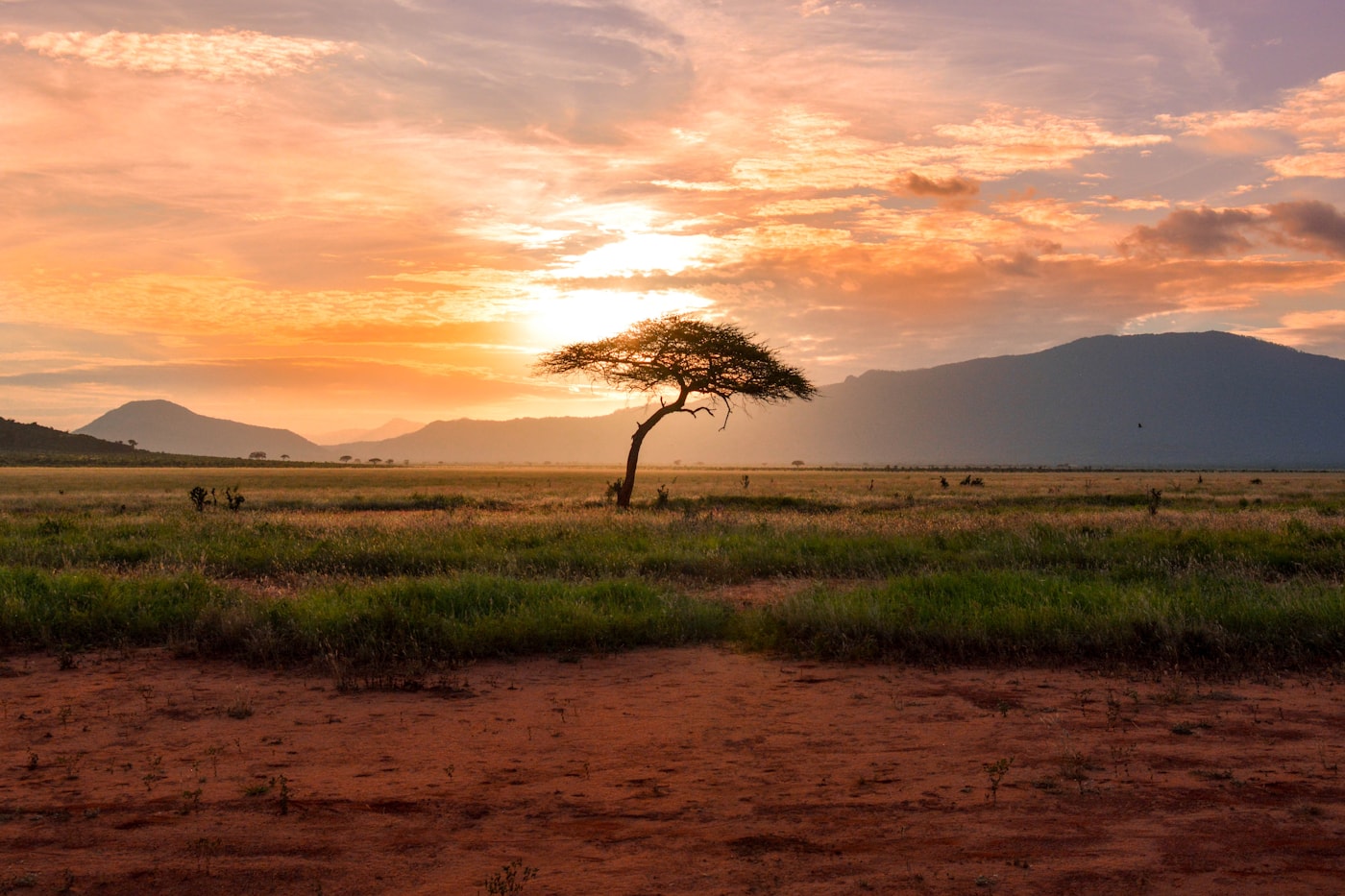 South Africa landscape