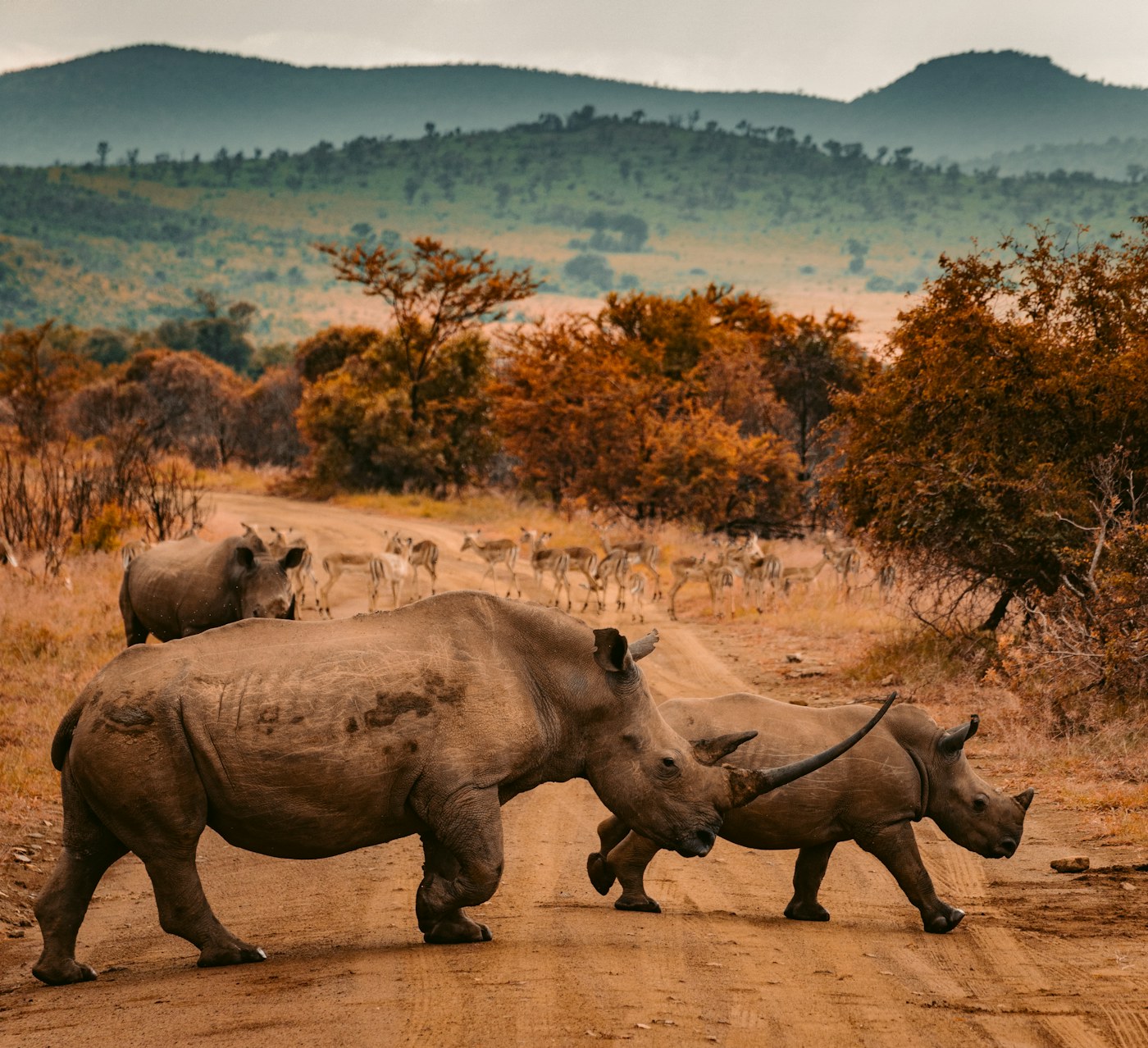 Kenya travel landscape