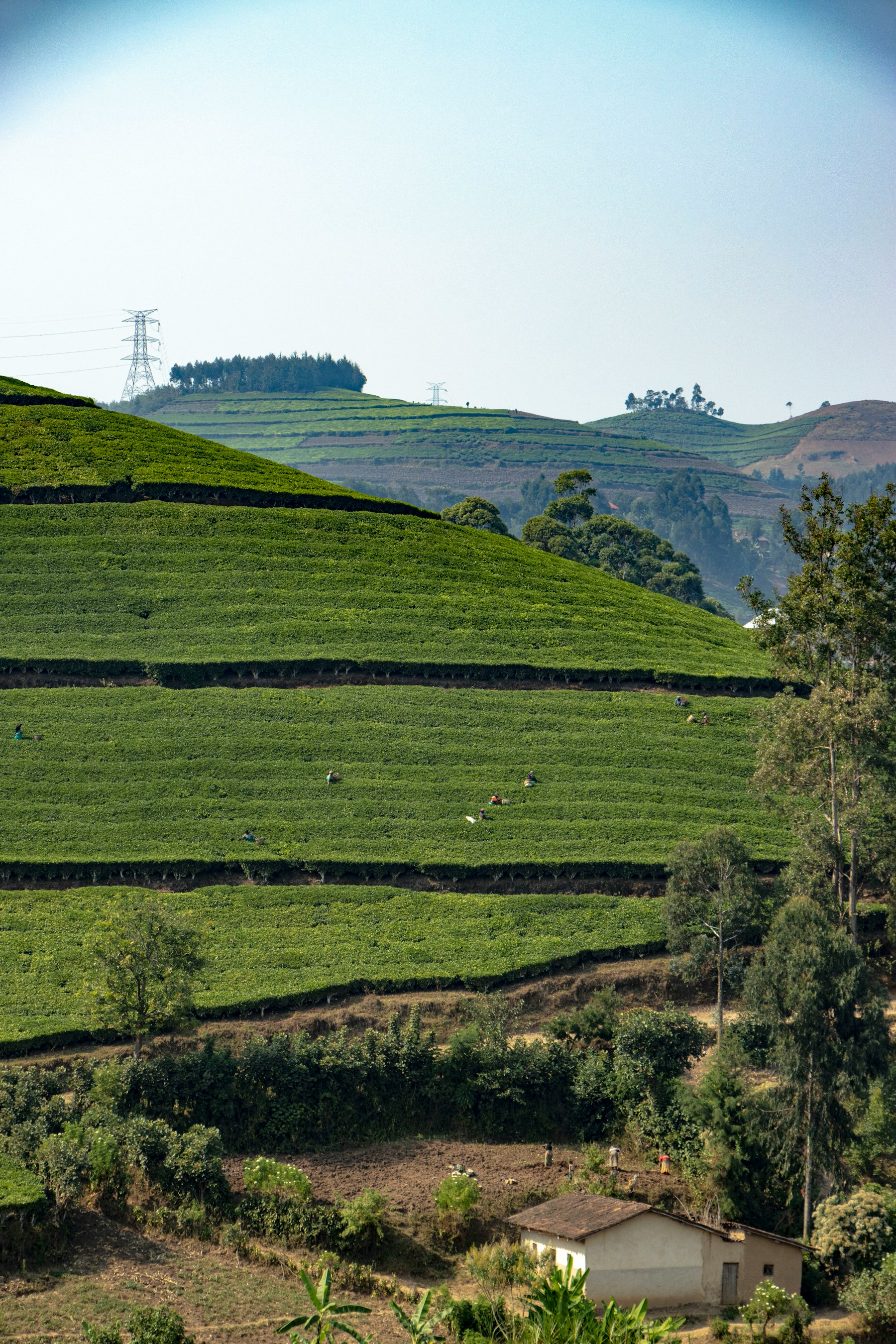 Rwanda travel landscape