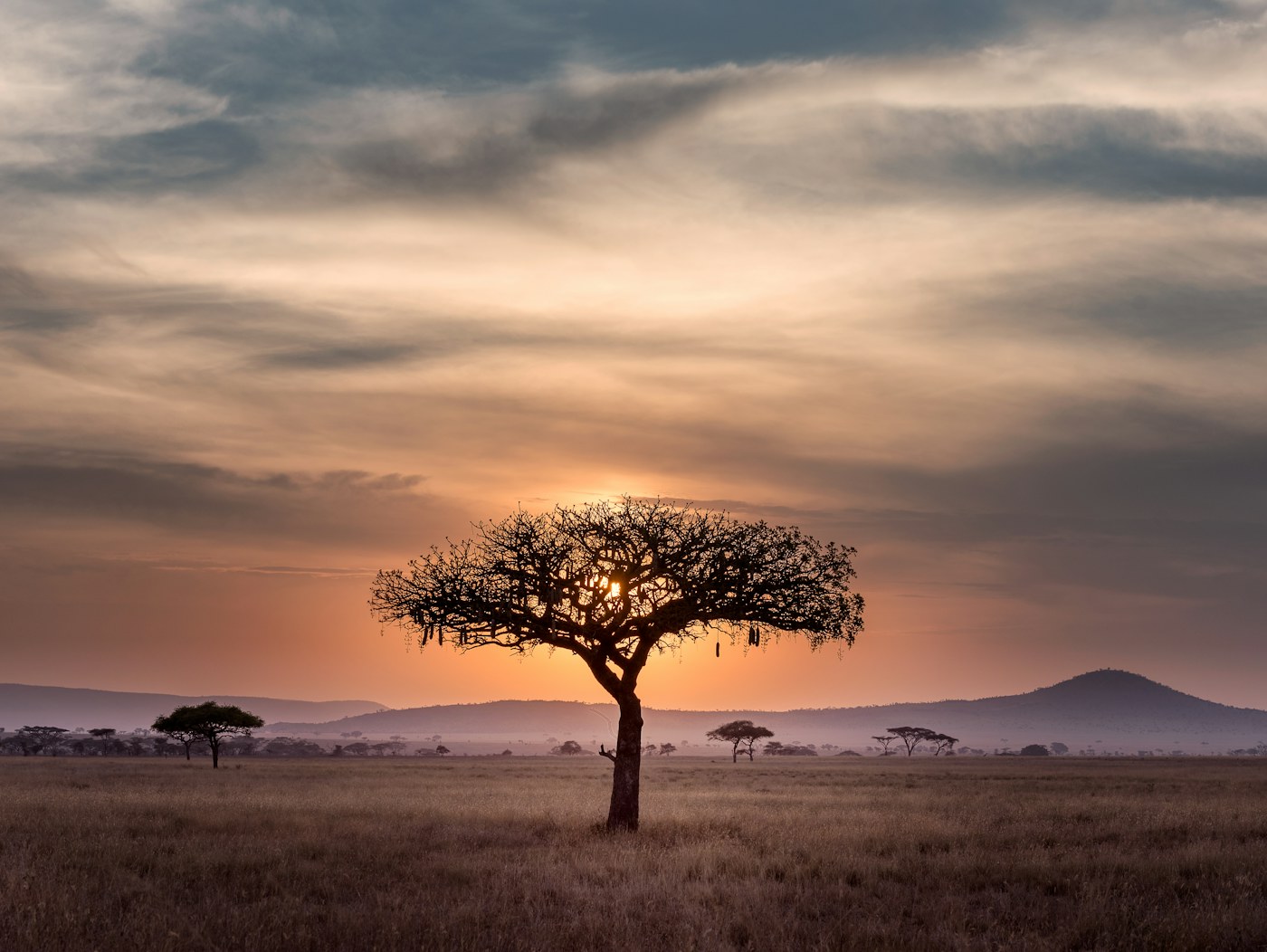 Tanzania travel landscape